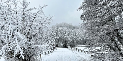 počitnice na kmetiji - Schönbach (Vulkaneifel) - Landgut Pfauenhof