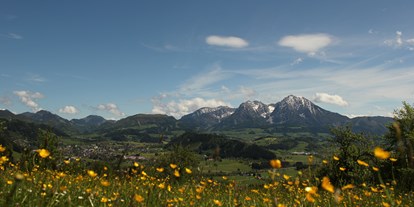 vacanza in fattoria - Art der Landwirtschaft: Bergbauernhof - Großegg (Göstling an der Ybbs) - Familienbauernhof Christa