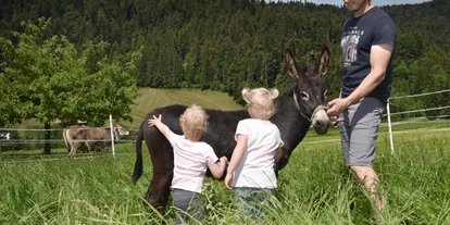 Urlaub auf dem Bauernhof - Art der Landwirtschaft: Milchbauernhof - Grünenbach - Wiesenhof Rusch