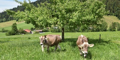 Urlaub auf dem Bauernhof - Umgebung: Urlaub in den Hügeln - Vorarlberg - Wiesenhof Rusch