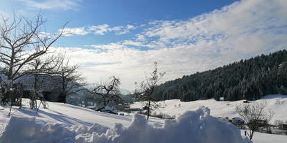 vakantie op de boerderij - Traktor fahren - Sulzberg (Landkreis Oberallgäu) - Winter am Wiesenhof - Wiesenhof Rusch