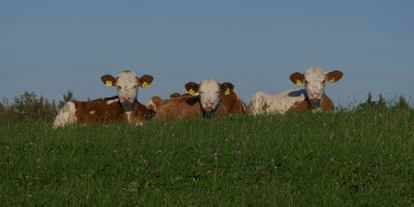 dovolená na farmě - Art der Landwirtschaft: Tierhaltung - Maierhöfen (Landkreis Lindau) - Waldhof Allgäu