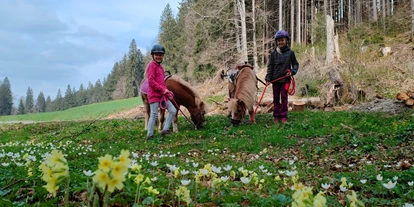vacances à la ferme - Mithilfe beim: Tiere füttern - Obergünzburg - Waldhof Allgäu