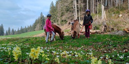 Urlaub auf dem Bauernhof - Eislaufen - Ettringen (Landkreis Unterallgäu) - Waldhof Allgäu