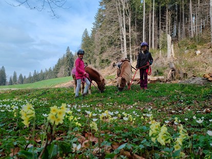 Urlaub auf dem Bauernhof - Jahreszeit: Winter-Urlaub - Waldhof Allgäu