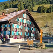 Počitniška kmetija - Ferienhof Alpe Berg