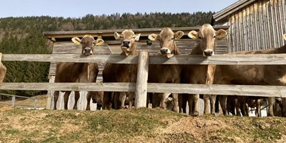 Urlaub auf dem Bauernhof - Art der Landwirtschaft: Milchbauernhof - PLZ 6708 (Österreich) - Ferienhof Sonne