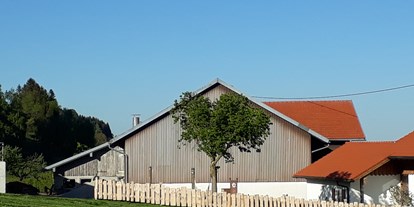 vacation on the farm - Fahrzeuge: Heuwender - Schnepfau - Verweilen Sie in der Hängematte unter unserem Liebesbaum. - Biobauernhof Holzer