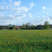 Ferien Bauernhof - Reicharthof