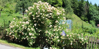 počitnice na kmetiji - Schönau (Naarn im Machlande) - Bauerngarten Eingang - Biohof Lueg