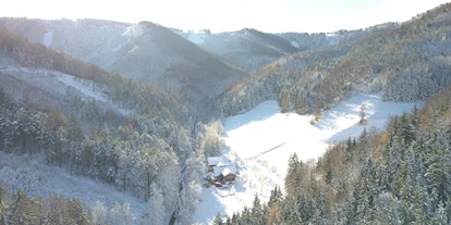 Urlaub auf dem Bauernhof - Wellness: Infrarotkabine - Grünau (Mariazell) - Biohof Lueg im stillen Winterwald - Biohof Lueg