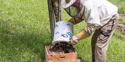 Urlaub auf dem Bauernhof - Niederösterreich - beim Bienenschwarm Fangen - Biohof Lueg