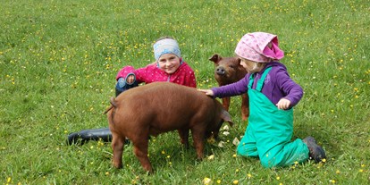 Urlaub auf dem Bauernhof - Tiere am Hof: Kühe - Deutschland - Schweine streicheln - Der AuszeitHof