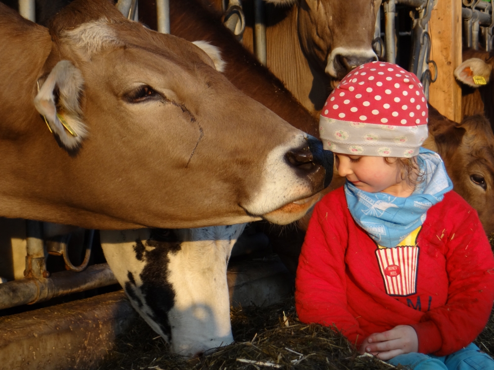 Agriturismo - Ferienhof Herz