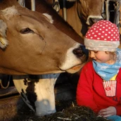 Ferme de vacances - Ferienhof Herz