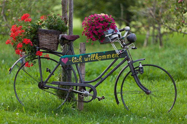 Ferien Bauernhof - Mockenhof