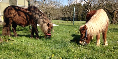 Urlaub auf dem Bauernhof - Tiere am Hof: Ponys - Deutschland - Mockenhof