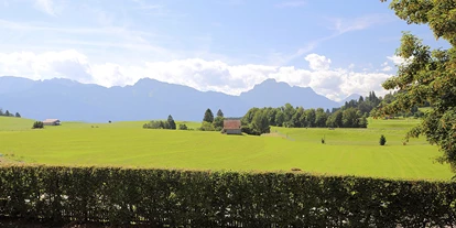 Urlaub auf dem Bauernhof - Tiere am Hof: Schafe - Rettenberg (Landkreis Oberallgäu) - Ferienhof Linder am Forggensee