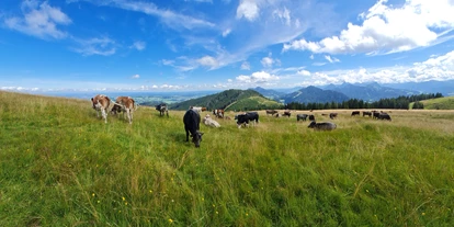 wakacje na farmie - Mithilfe beim: Tiere füttern - Kißlegg - Lochbihlerhof in Wertach