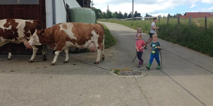 vakantie op de boerderij - Buchenberg (Landkreis Oberallgäu) - Ferienhofkinder helfen beim Kühe holen - Bergbauernhof Meßmang