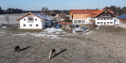 Urlaub auf dem Bauernhof - Fahrzeuge: Mähwerk - Hinterhornbach - Biohof Stadler