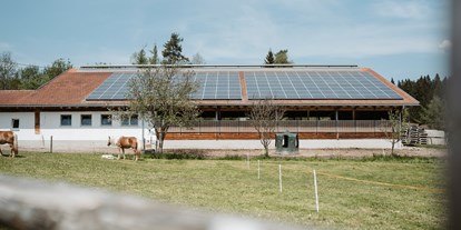 vacation on the farm - Ponyreiten - Bavaria - Unser Biohof. Landwirtschaft aus Leidenschaft. - Biohof Stadler