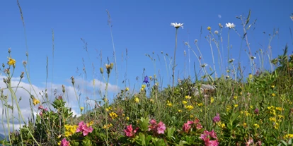 Urlaub auf dem Bauernhof - ideal für: Pärchen - Lochau - Alte Schmiede