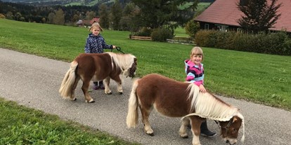 vacanza in fattoria - Tiere am Hof: Pferde - Kempten - Die Minishettys - Pirmin und Pronto - Ferienhof Sinz