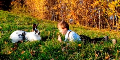 Urlaub auf dem Bauernhof - Jahreszeit: Frühlings-Urlaub - Kapfenstein - Hasen und Meerschweinchen leben auch bei uns am Hof - Schwalbenhof