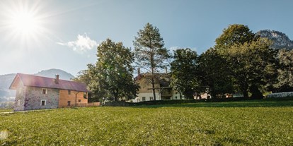 Urlaub auf dem Bauernhof - Fahrzeuge: Mähwerk - Steiermark - Spitzenhof