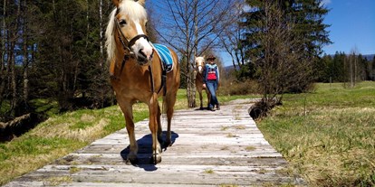 Urlaub auf dem Bauernhof - ideal für: Sportler - Klaffer am Hochficht - Pferde - Ferienhof Landhaus Guglhupf