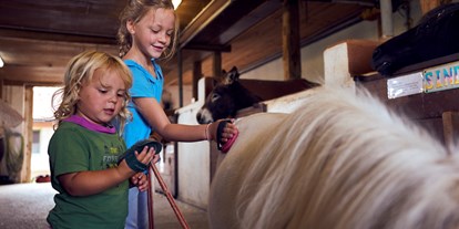 vacanza in fattoria - Tiere am Hof: Ziegen - Baviera - Ponypflege - Ponyferienhof Eder