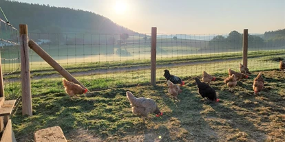 vakantie op de boerderij - Blaibach - Hühner - Gschwandnerhof