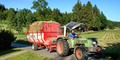 Urlaub auf dem Bauernhof - Preisniveau: günstig - Schorndorf (Cham) - Traktor mitfahren - Bayerischer Wald Kinder & Familienbauernhof in der Oberpfalz