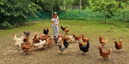 Urlaub auf dem Bauernhof - Preisniveau: günstig - Schorndorf (Cham) - Tiere füttern helfen - Bayerischer Wald Kinder & Familienbauernhof in der Oberpfalz