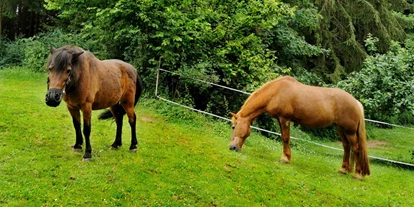 nyaralás a farmon - ideal für: Senioren - Németország - Pferd und Pony zum Reiten - Bayerischer Wald Kinder & Familienbauernhof in der Oberpfalz