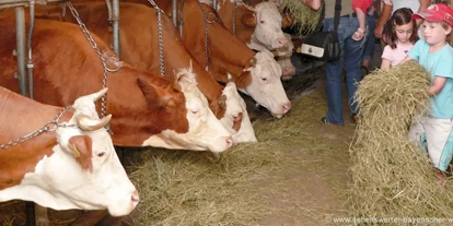 Urlaub auf dem Bauernhof - Mithilfe beim: Tiere füttern - Lam - Mithilfe im Stall, Kühe füttern - Bayerischer Wald Kinder & Familienbauernhof in der Oberpfalz