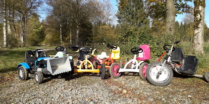 Urlaub auf dem Bauernhof - Stromanschluss: für E-Bikes - Roth (Eifelkreis Bitburg-Prüm) - In unserer Garage sind viele verschiedene Fahrzeuge für Kinder und Jugendliche untergebracht. - Ferienhof Vennhof