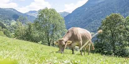 Urlaub auf dem Bauernhof - Tiere am Hof: Kühe - Schnepfau - Bergbauernhof Ganahl