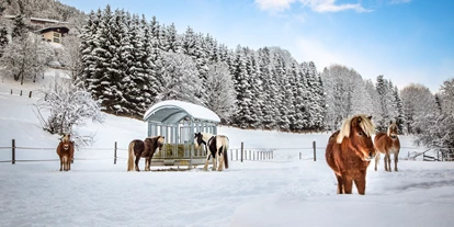 Urlaub auf dem Bauernhof - Schwimmmöglichkeit: Außenpool - Wallingwinkl - Unsere lieben Pferde im Schnee - MILLINGHOF