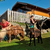 Urlaub auf dem Bauernhof:  Die Isländer Pferde fertig machen zum Ponyführen. - Abelhof