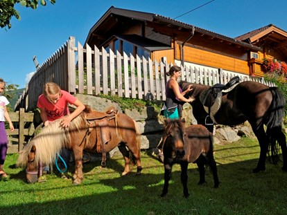 Urlaub auf dem Bauernhof - Tiere am Hof: Kühe - Hintersee (Hintersee) -  Die Isländer Pferde fertig machen zum Ponyführen. - Abelhof