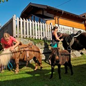 Urlaub auf dem Bauernhof:  Die Isländer Pferde fertig machen zum Ponyführen. - Abelhof