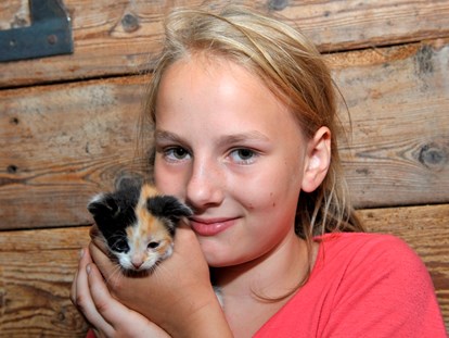Urlaub auf dem Bauernhof - nachhaltige Landwirtschaft - Neuseß - Katzenbabys zum streicheln und kuscheln. - Abelhof
