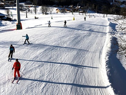 vacanza in fattoria - Skifahren - Gosau - Vom Abelhof direkt auf die Piste. - Abelhof