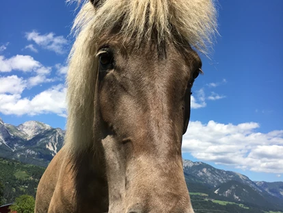 počitnice na kmetiji - Tiere am Hof: Ponys - Unterberg (Großarl, Dorfgastein) - Samira, unser Isländer Kleinpferd. - Abelhof