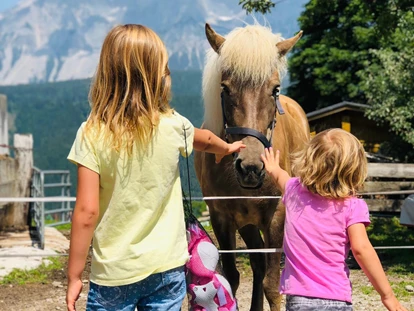 počitnice na kmetiji - Tiere am Hof: Ponys - Unterberg (Großarl, Dorfgastein) - Abelhof