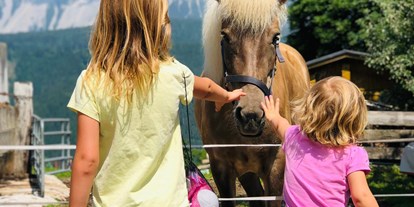 Urlaub auf dem Bauernhof - Tiere am Hof: Ponys - Schladming-Dachstein - Abelhof