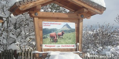 vacanza in fattoria - Tiere am Hof: Kühe - Salisburgo - Winterurlaub am Bauernhof , Freiraum genießen. - Lahnhof