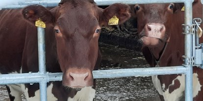 Urlaub auf dem Bauernhof - Fahrzeuge: Güllefass - Schwarzleo - Seit August 2022 sind unsere Kühe in einem neu Umgebauten Stall eingezogen .
 - Lahnhof